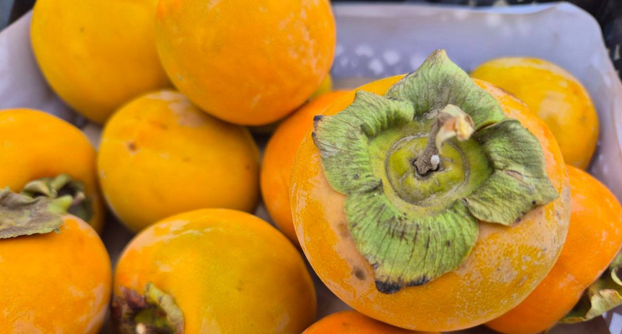 Россельхознадзор по Оренбургской области хурма