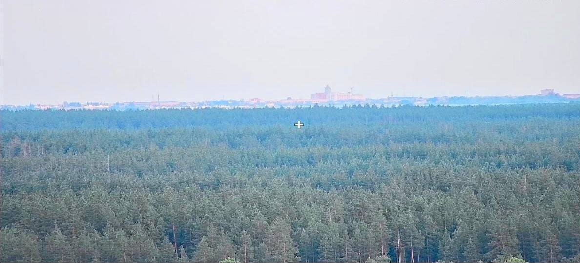 бузулукский бор