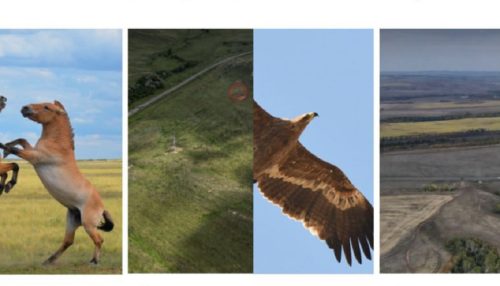 дизайн нового арт-объекта