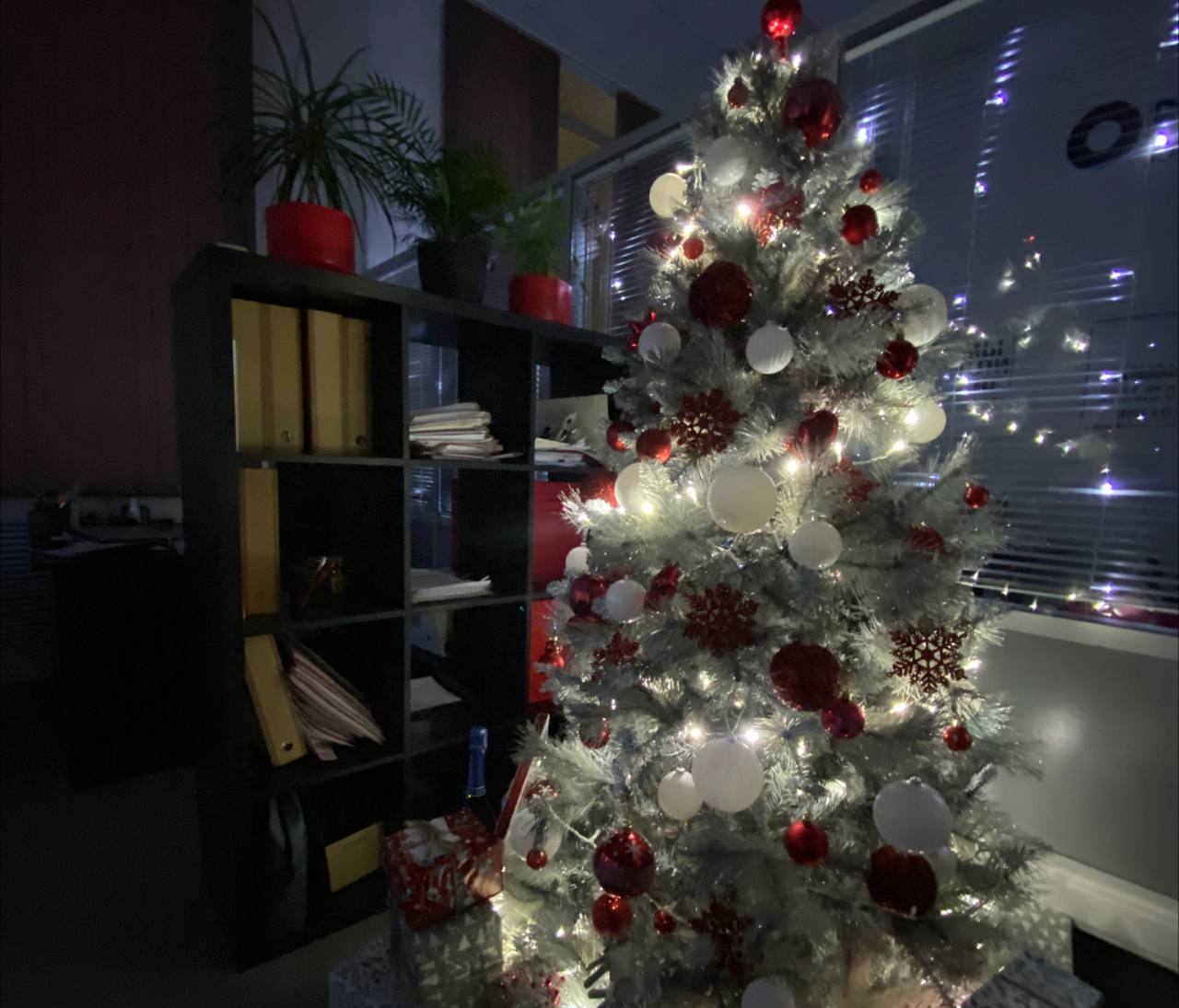 ёлка Оренбург Медиа