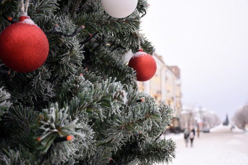 дороги к новогодним локациям