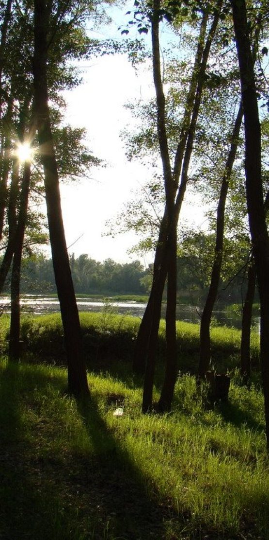 Оренбург Медиа — новости Оренбурга и области
