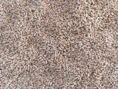 Россельхознадзор