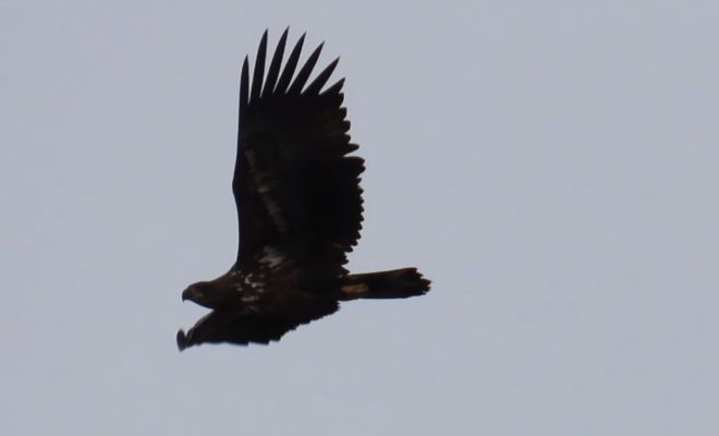 Оренбург Медиа — новости Оренбурга и области