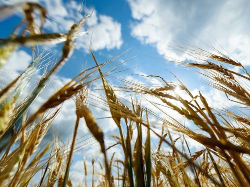 день образования