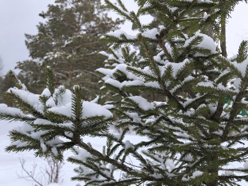 резкое похолодание