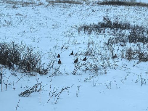 погода выходных