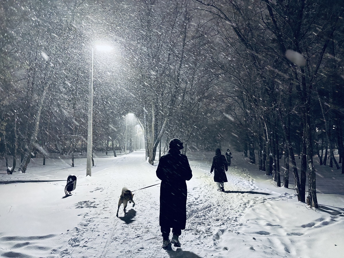 Местами снег. Погода в Оренбуржье на 17 декабря