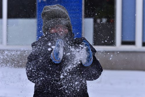 снег олег рукавицын
