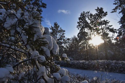 от морозов к снегопадам