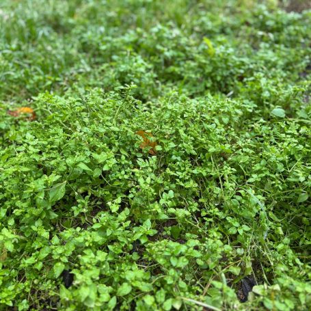 Оренбург Медиа — новости Оренбурга и области