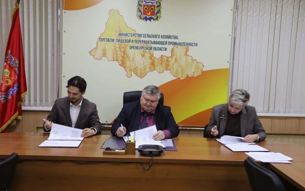 шелковый путь