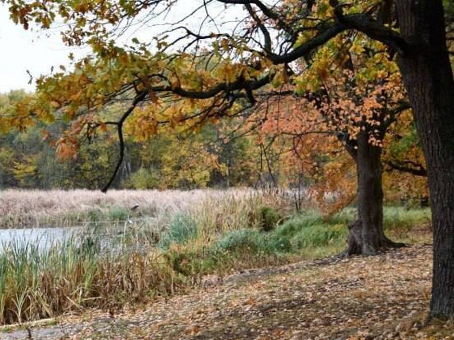 природа Донбасса