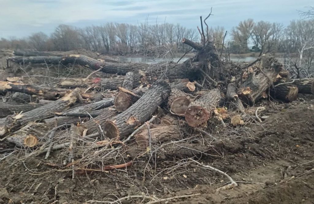 расчистка русла урала