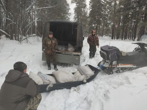 бузулукский бор