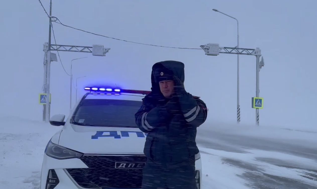 метель