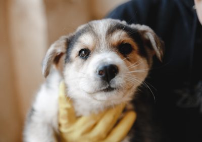 Оренбург Медиа — новости Оренбурга и области