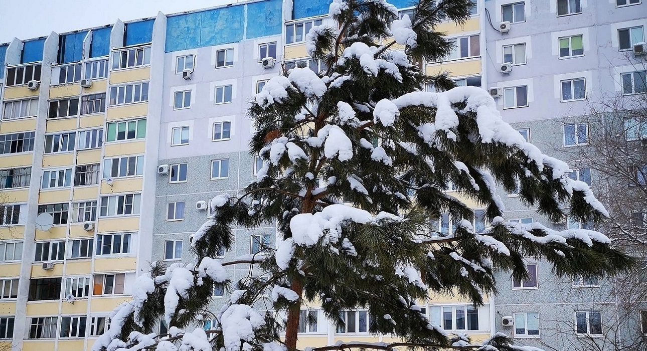 школа в МЖК