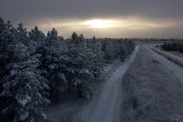 лыжная трасса