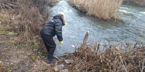 большой кинель