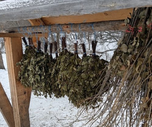 бузулукский бор