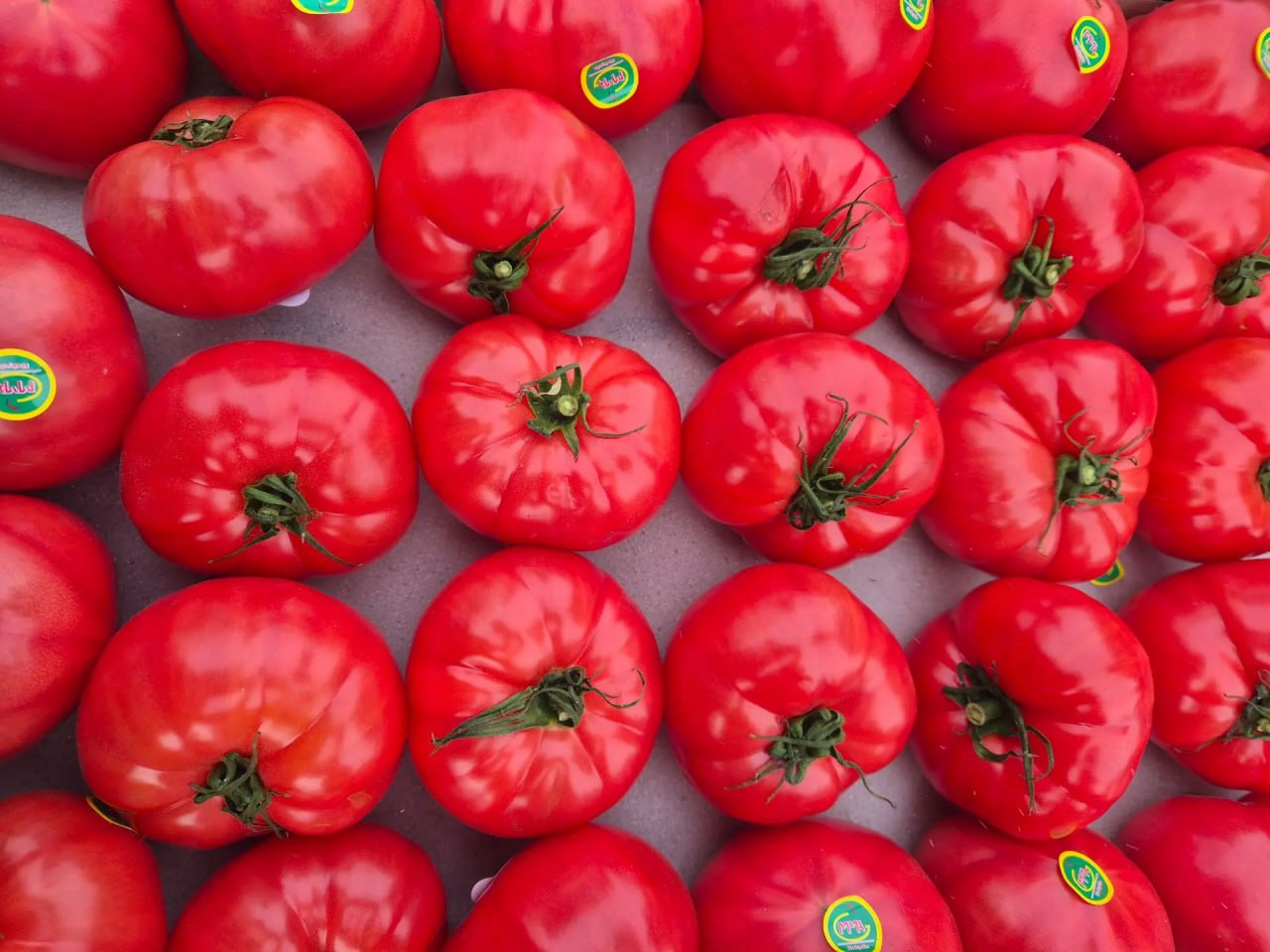 зараженная продукция