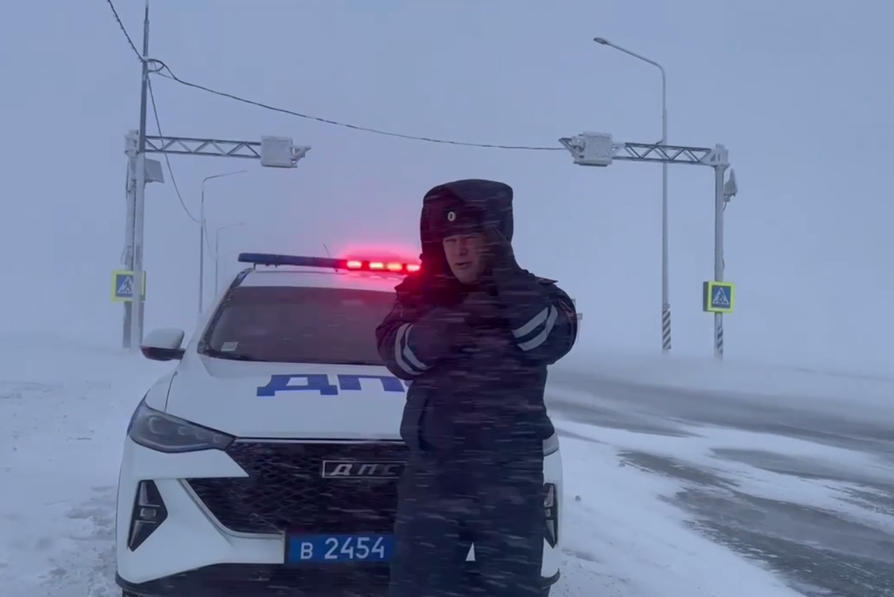метель