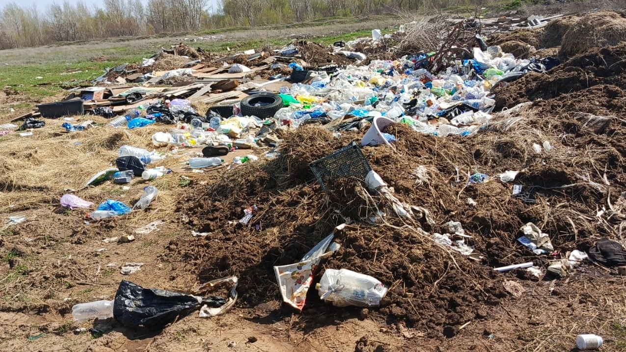 свалки оренбург