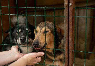 Оренбург Медиа — новости Оренбурга и области