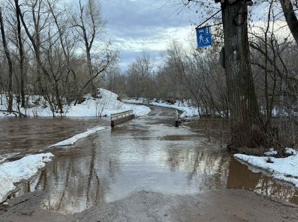 мост через каргалку