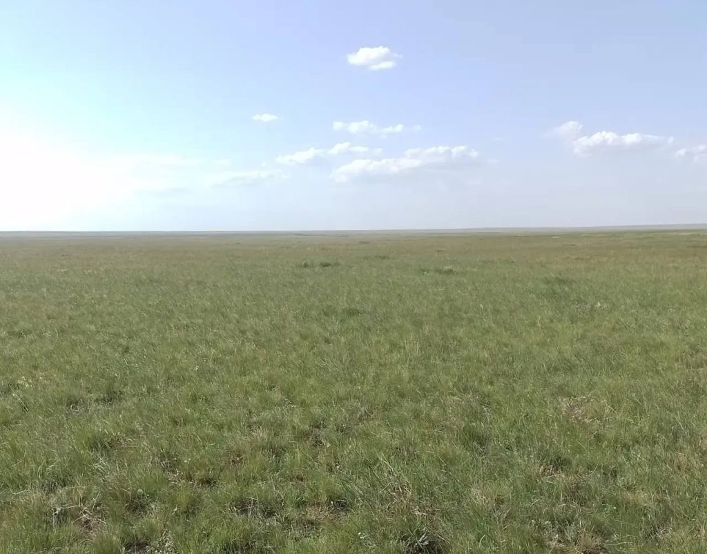 сельхозземли