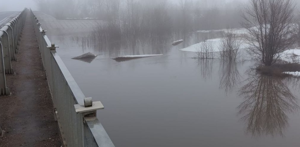уровень самары в новосергиевке