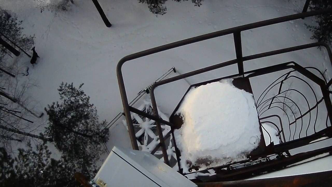 лось