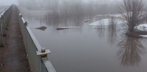 уровень самары в новосергиевке