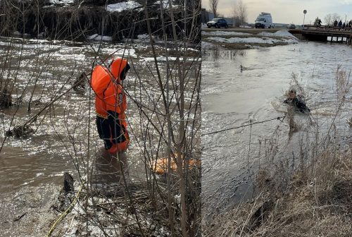 школьник упал в воду елшанка