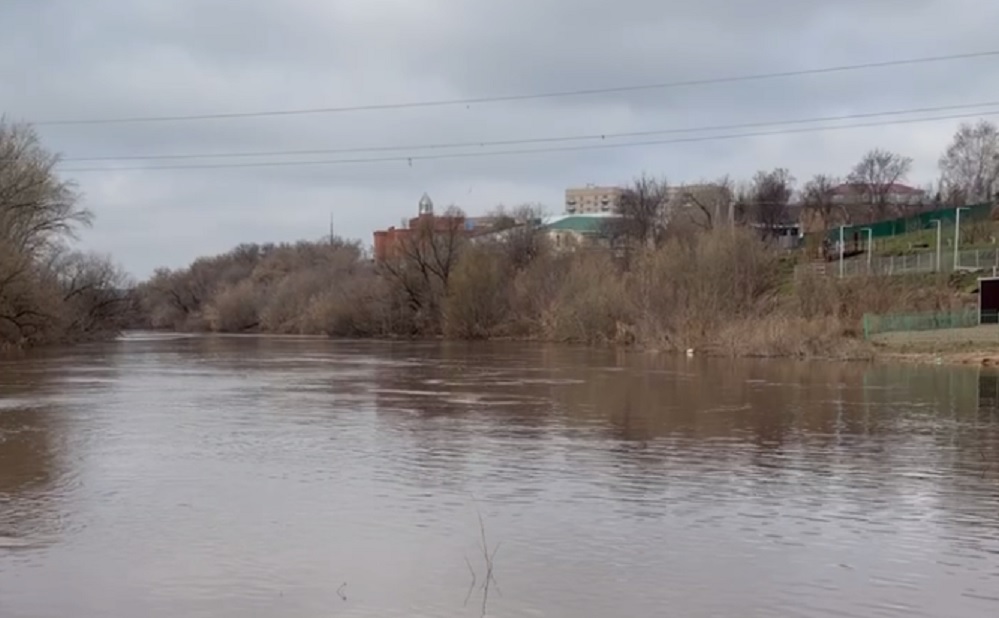 Большой Кинель