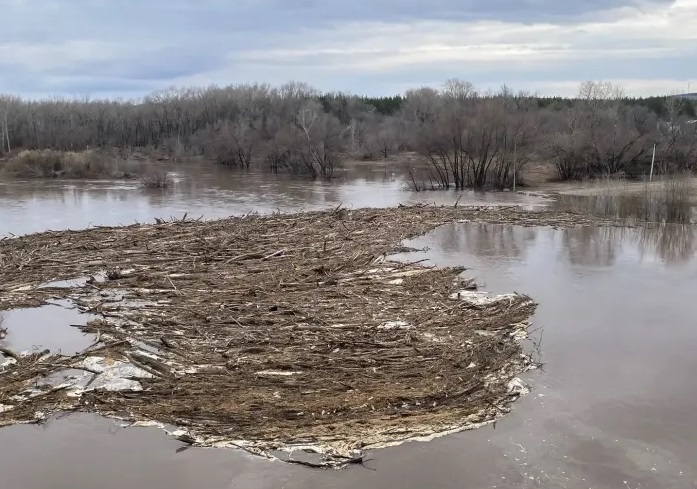 паводок в бузулуке