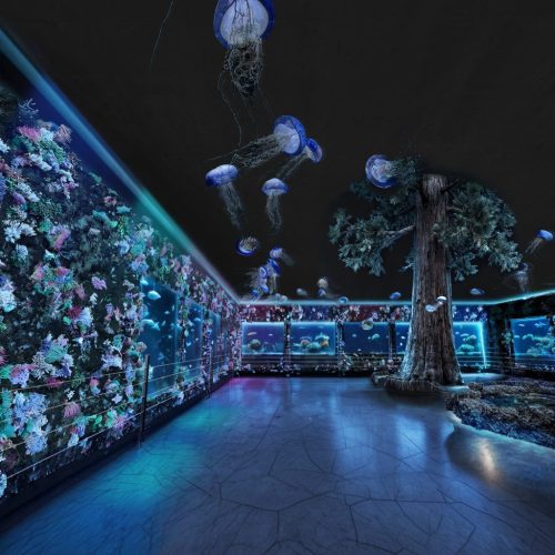 оренбургский океанариум