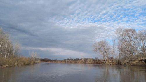 Уровень Урала в Оренбурге