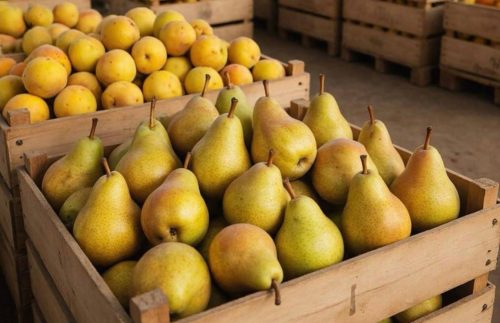 груши и нектарины