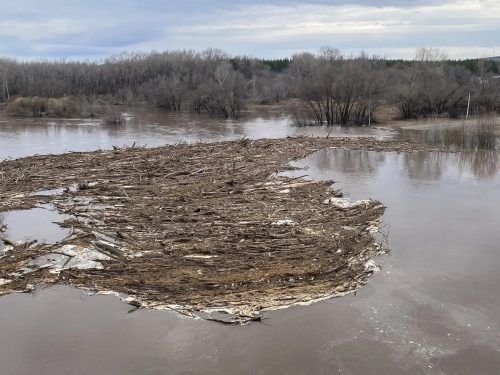 Паводок в Оренбуржье-2026. Информация об уровне Урала на 9 апреля