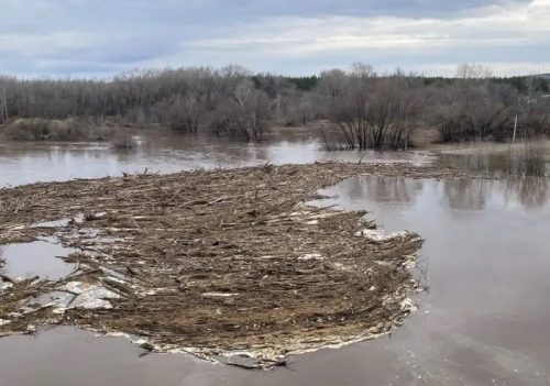 паводок в бузулуке