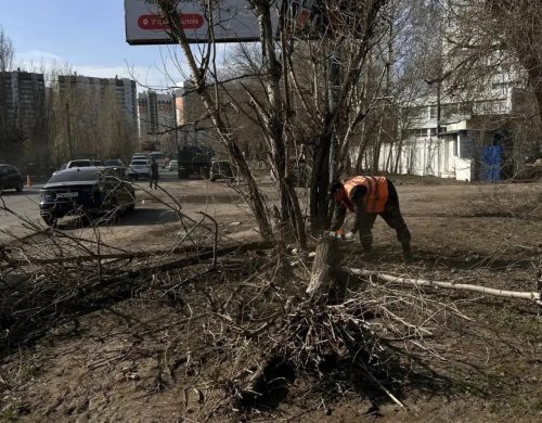 субботник в оренбурге