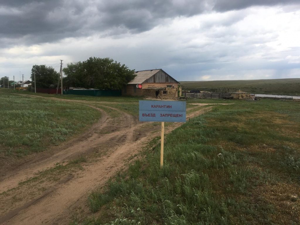Под Оренбургом выявили очаг бруцеллеза