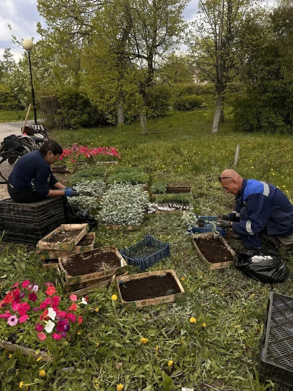 Коммунальщики украсили город цветами