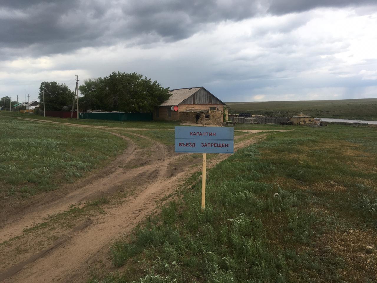 Под Оренбургом выявили очаг бруцеллеза