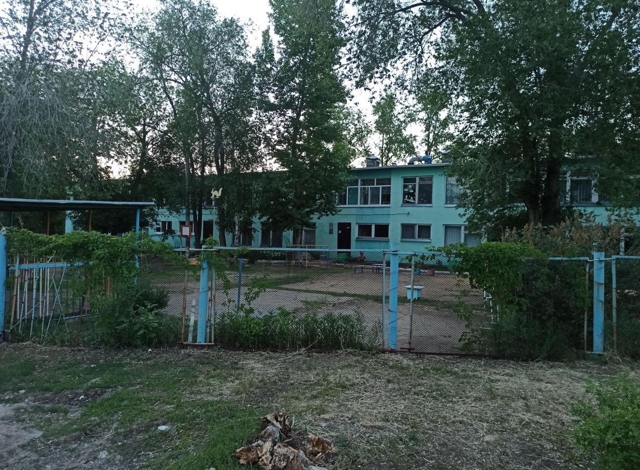 детский сад для аллергиков