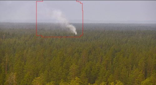 пожар в бузулукском бору