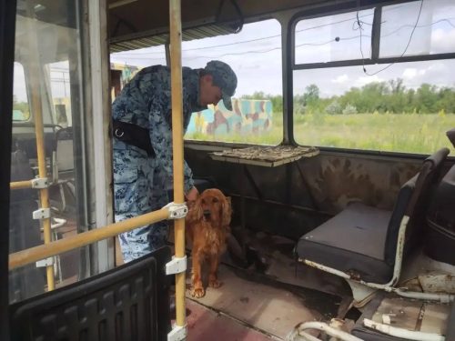 Кинологи вместе со служебными собаками участвовали в соревнованиях