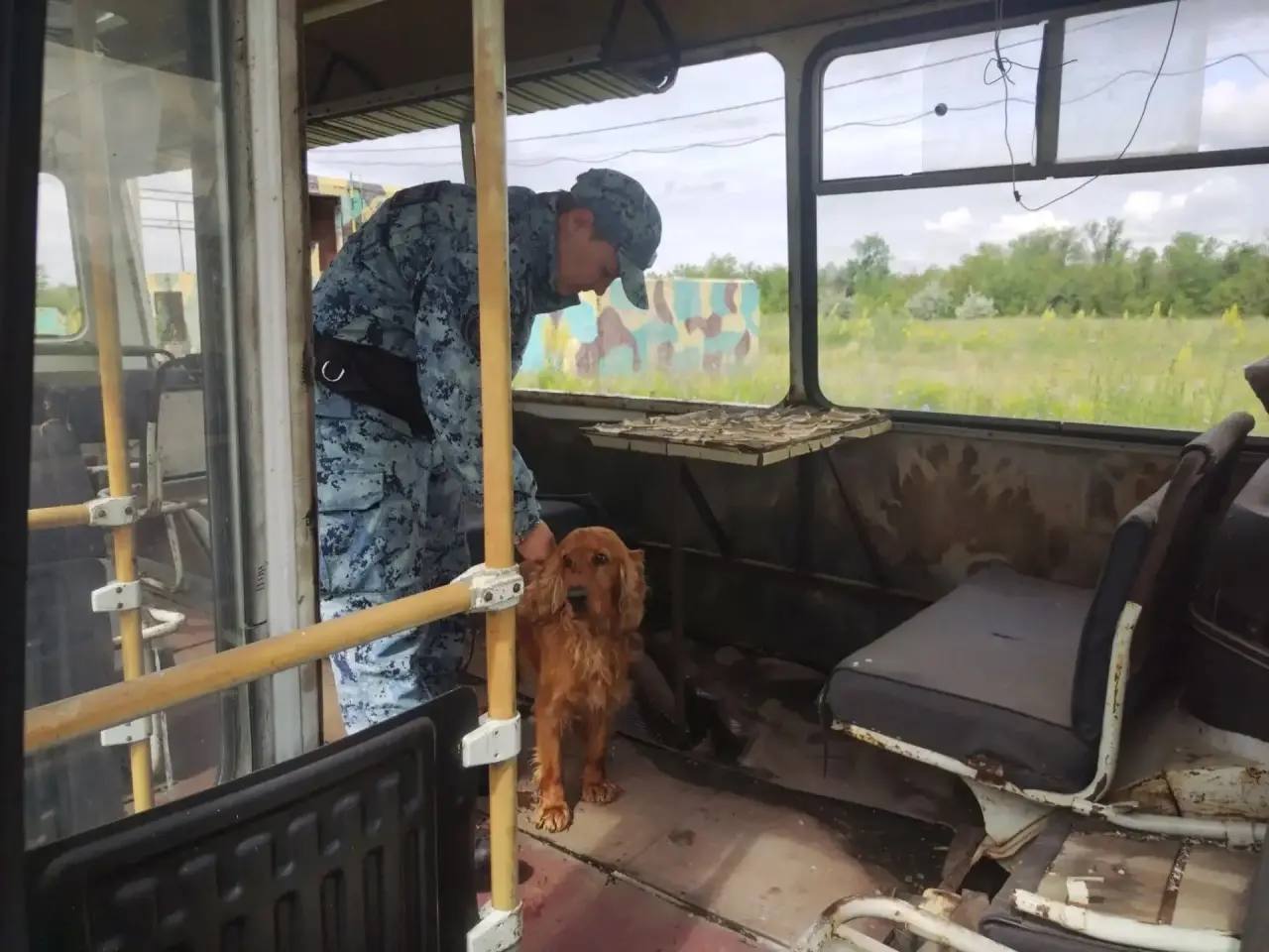 Кинологи вместе со служебными собаками участвовали в соревнованиях